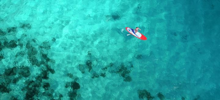 Altidor Adam's François Fils