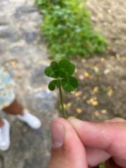 Sergio Corral mardones