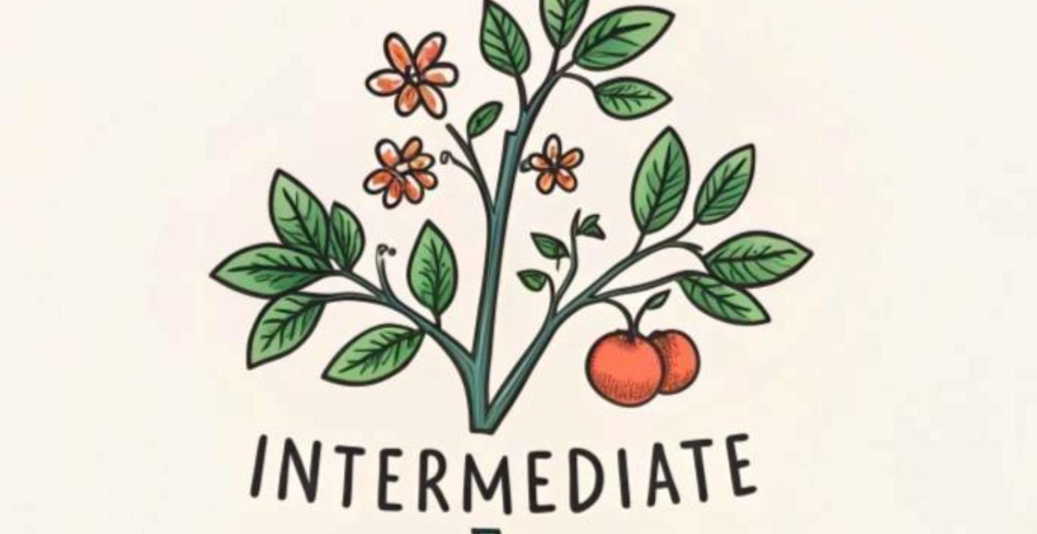 《來準備中級｜單字UP》