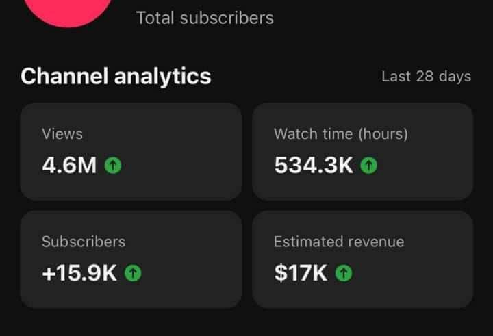🚀 4.6 MILLION Views $17,000 in 28 Days