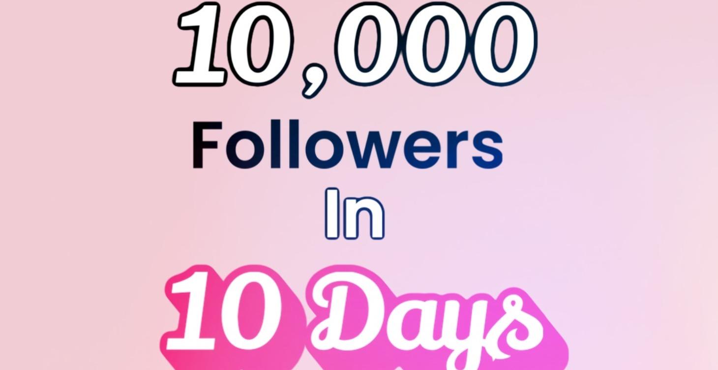 How To Get 10,000 Followers in 10 Days