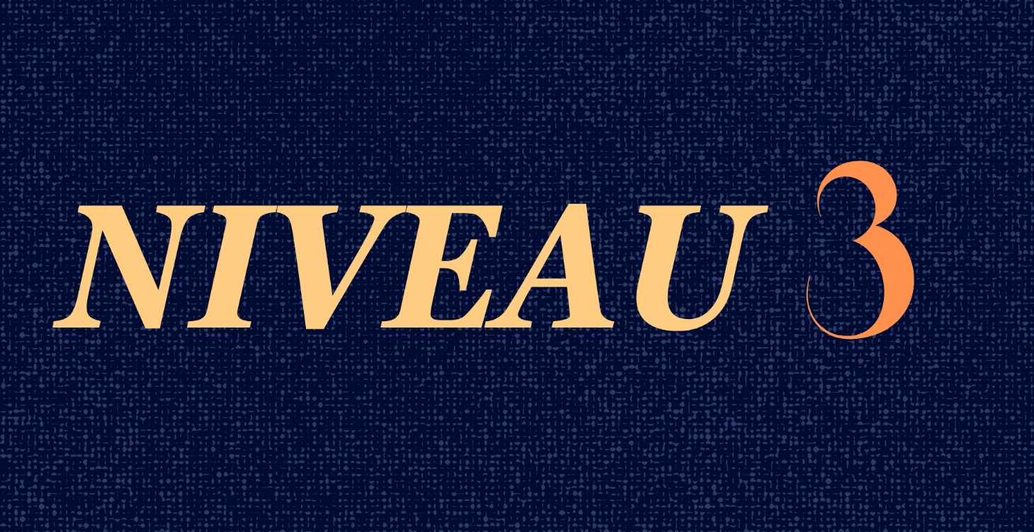 Niveau 3  | Business Geek