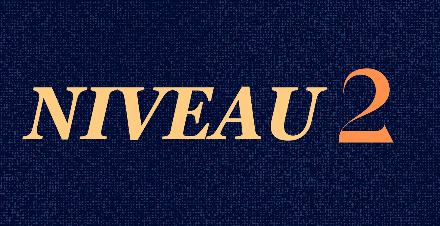 Niveau 2 | 90 Hooks Gratuits