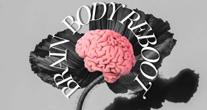 Brain Body Speak