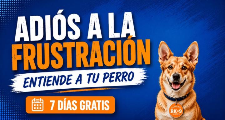 Tu Perro Ideal | RK-9