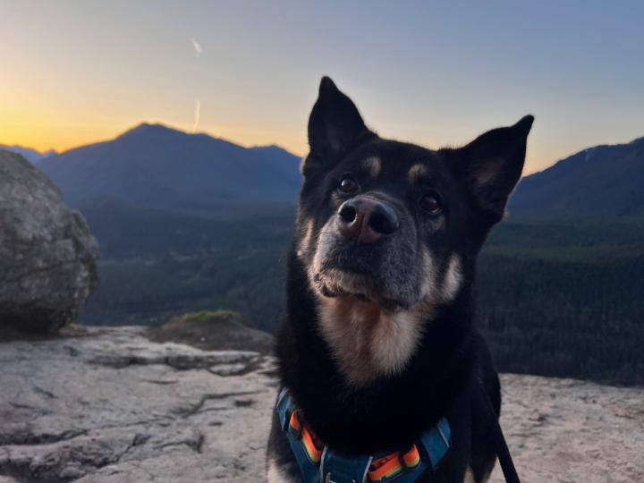 Cristina Romo Bernal