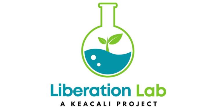 Liberation Lab - by KEACALI