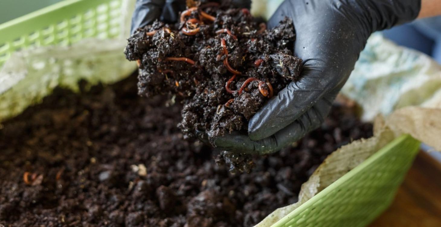 How Vermicomposting works