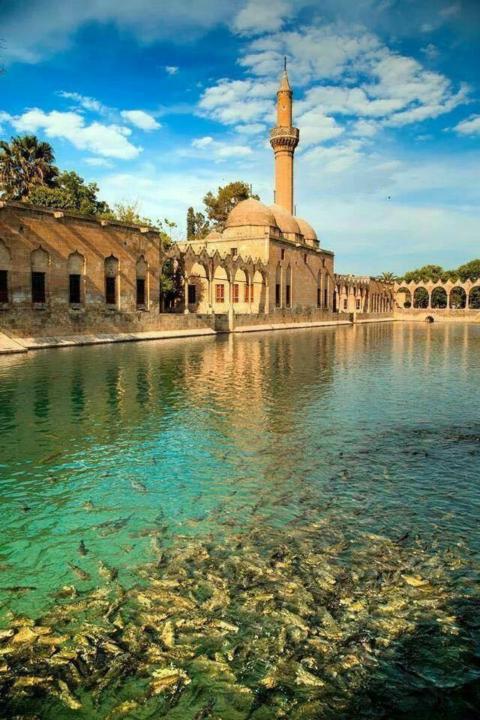 Balıklıgöl 💙