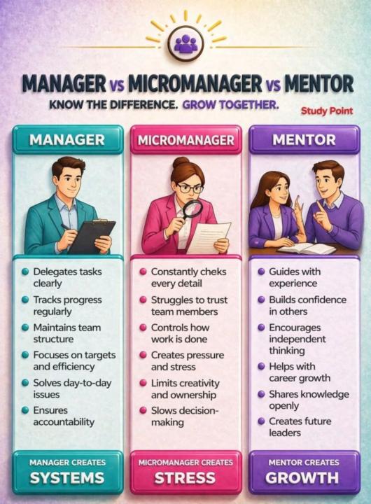 Manager - Micromanager - Mentor