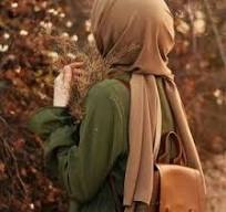 Nour Nour