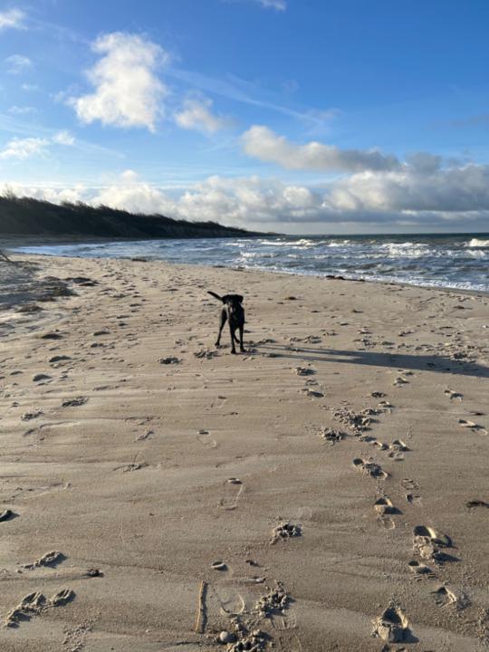 Alexandra Klabunde-Negatsch