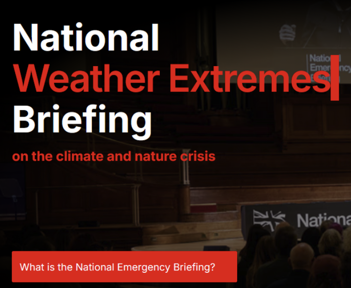 New Skool group : National Emergency Briefing
