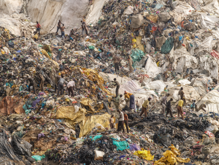 📢 New Lesson: 9. The Billionaire Feedback Loop