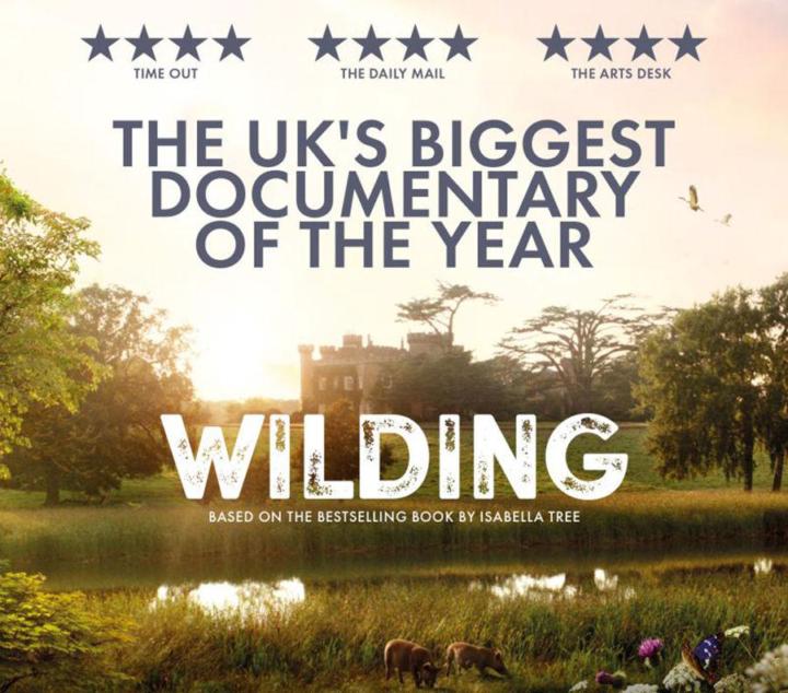 Wilding - Film about the rewilding of the Knepp Estate