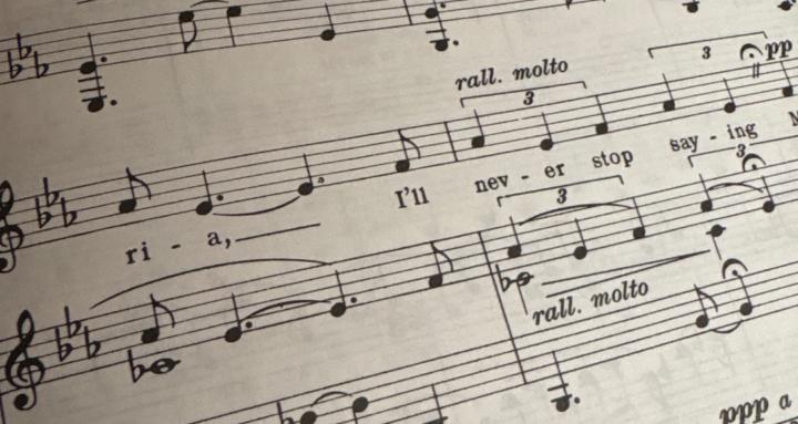 Become a great Singing Teacher