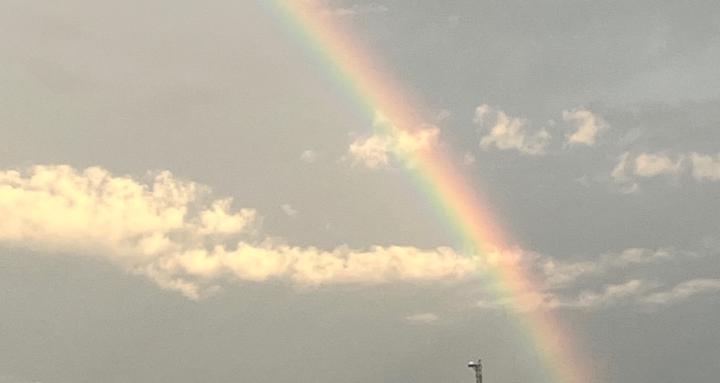 From Heart to Hustle Network