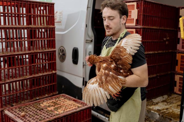 Bryan Houvet Saintpierre