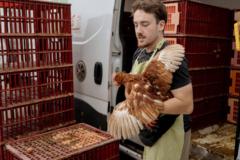 Bryan Houvet Saintpierre