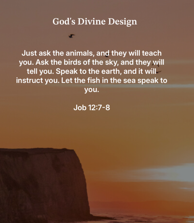 God's Holiness...