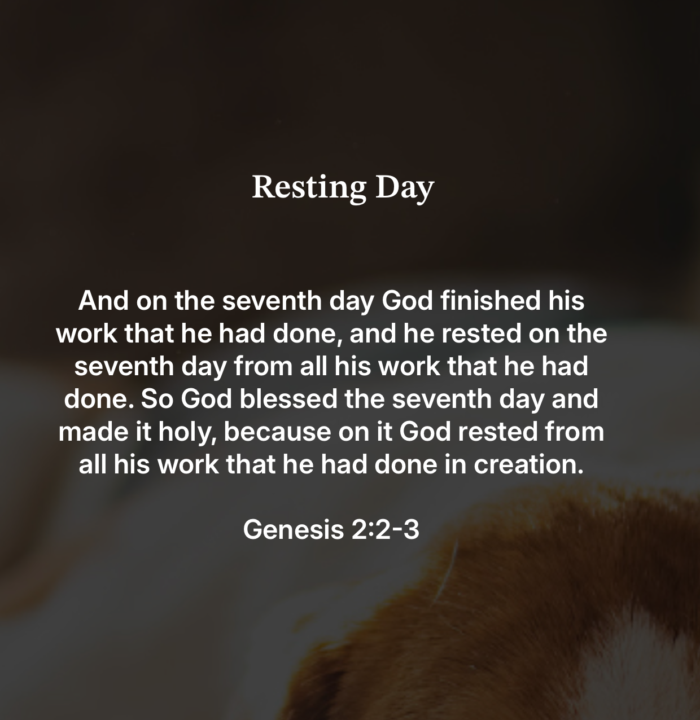 Happy New Year! Start the year by resting in the arms of Jesus...