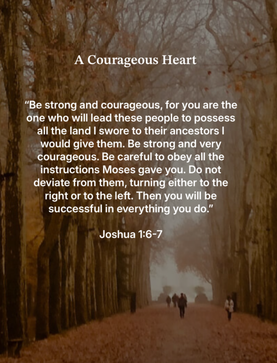 When the tempests of life try to shake you....