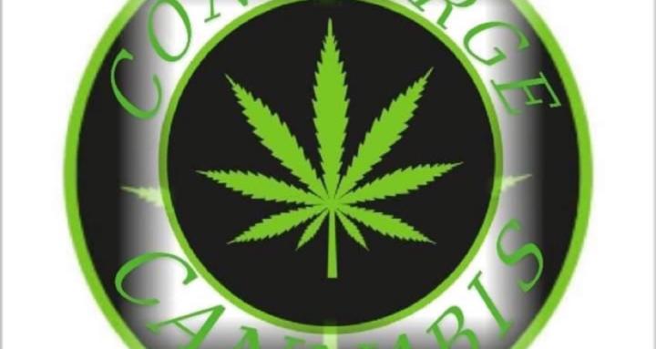 The Concierge of Cannabis