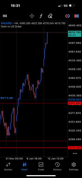 The Gold Collector 😎💸