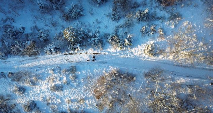 Shake in Bolo - 'Integration'