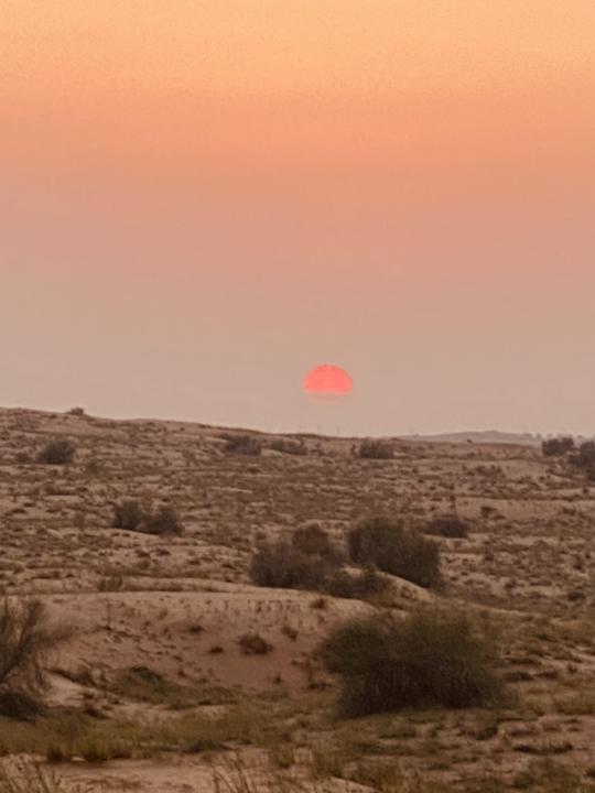 KI - Tools im Einsatz