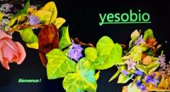 Yesobio Yesobio