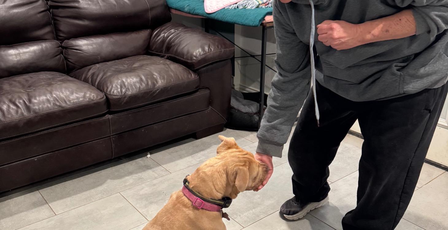 Pixee’s Day School Training Sessions