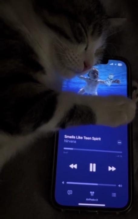 ปะแกม ขอนทอง