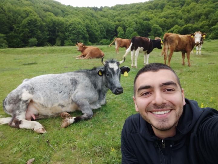 Hamza BenHamed