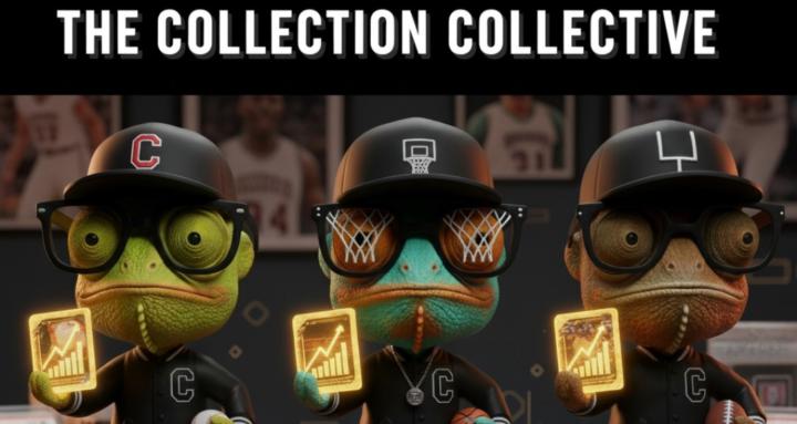 THE COLLECTION COLLECTIVE 