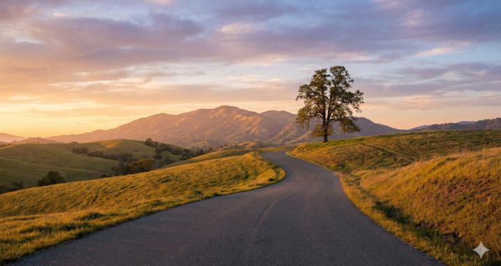 The Laid Back Dealer Network