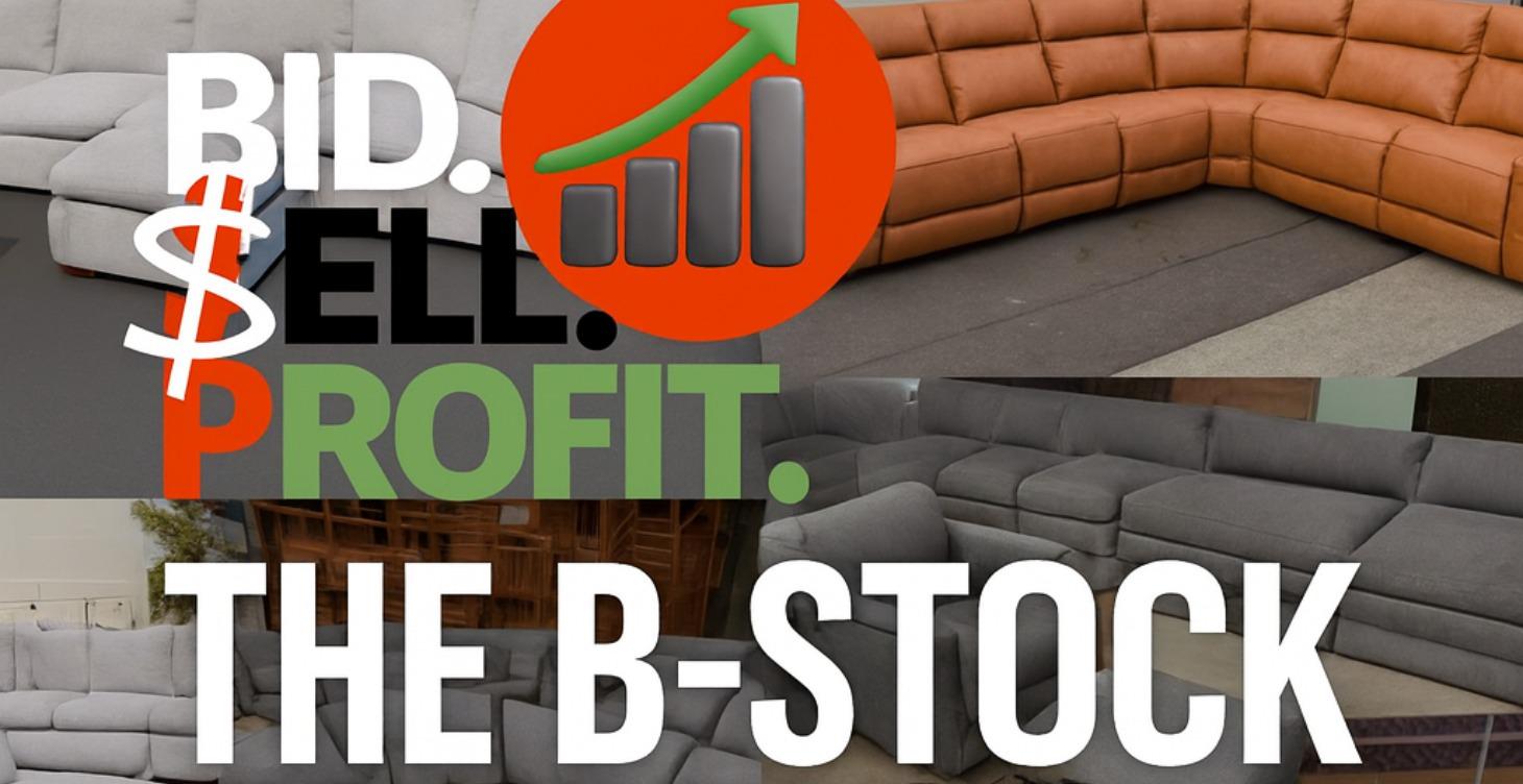 The B-Stock Playbook: 6-Figure Flipping System
