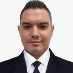 David Insignares