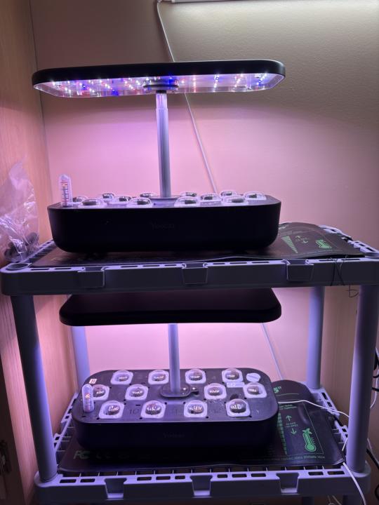 Snowy Day = The Need to Plant 