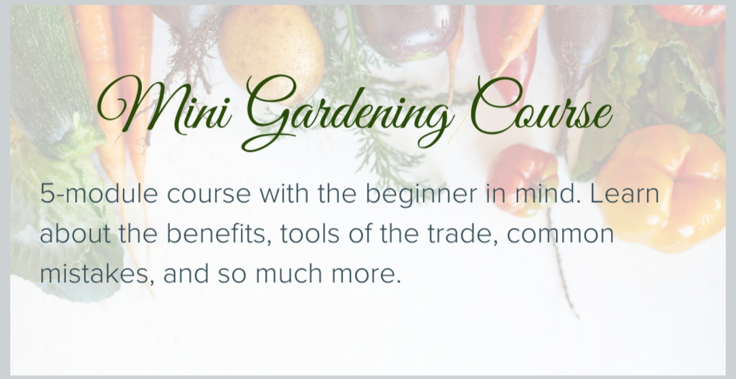 Mini Gardening Course