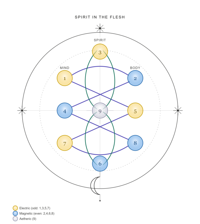 The Codex of Electromagnetic Light