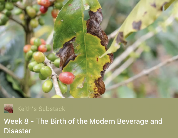 The Birth of the Modern Beverage and Disaster