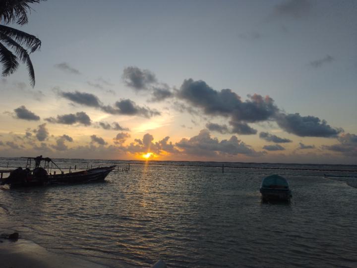 Martín G Martínez P