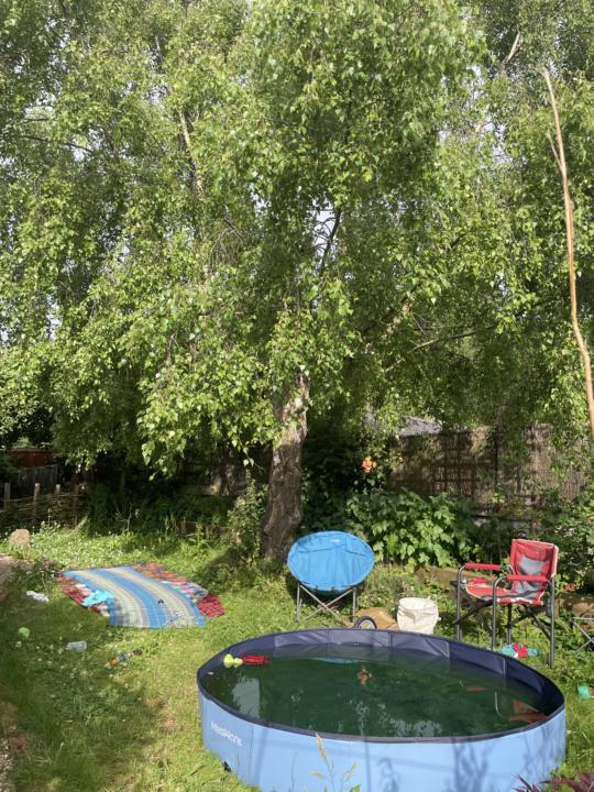 Hot Weather and Slowing Down