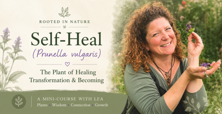 Self-Heal Mini Course