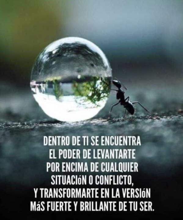 Inicios