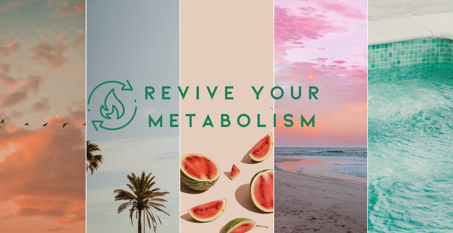 Free Program - Revive Your Metabolism