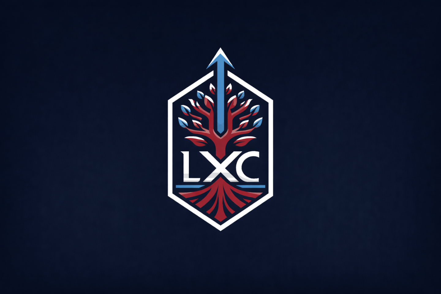 The LXC Academy