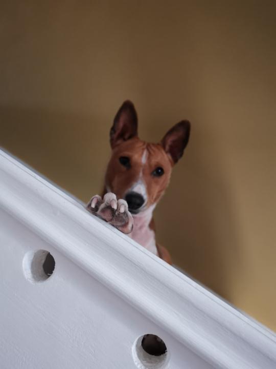 Anna Carpediem