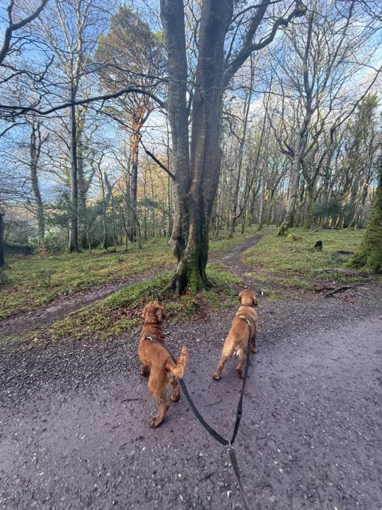 13th - January- 2026